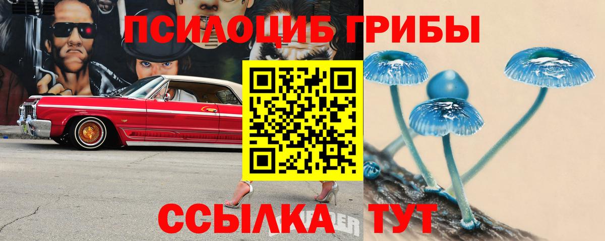 Сухой Лог  Псилоцибиновые грибы ЛСД  наркота  Псилоцибиновые грибы мицелий  Вход с VPN 